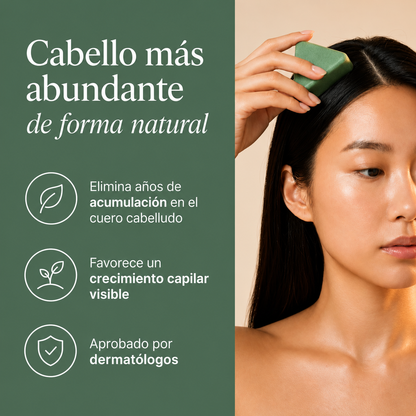 Barra revitalizante coreano para el cuero cabelludo